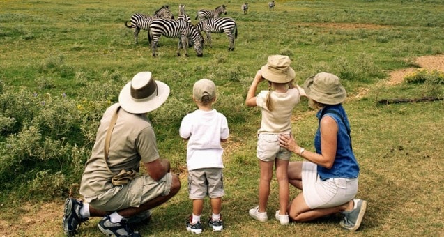 walking safari