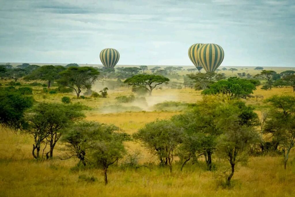 whatsapp image 2025 08 24 at 3.45.02 am