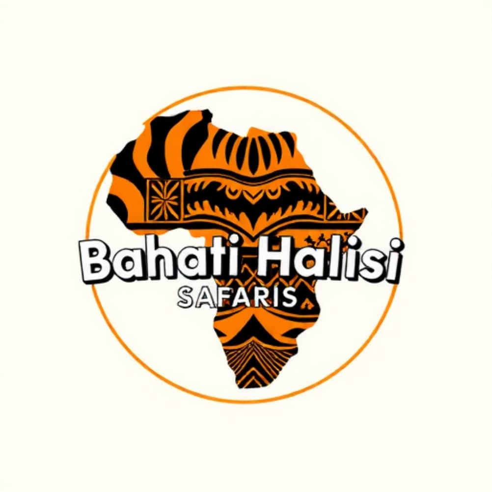 bahatihalisisafar.com